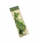 ΔΙΑΚΟΣΜΗΤΙΚΟ ΦΥΤΟ ΕΝΥΔΡΕΙΟΥ ΔΙΑΦΟΡΑ ΣΧΕΔΙΑ